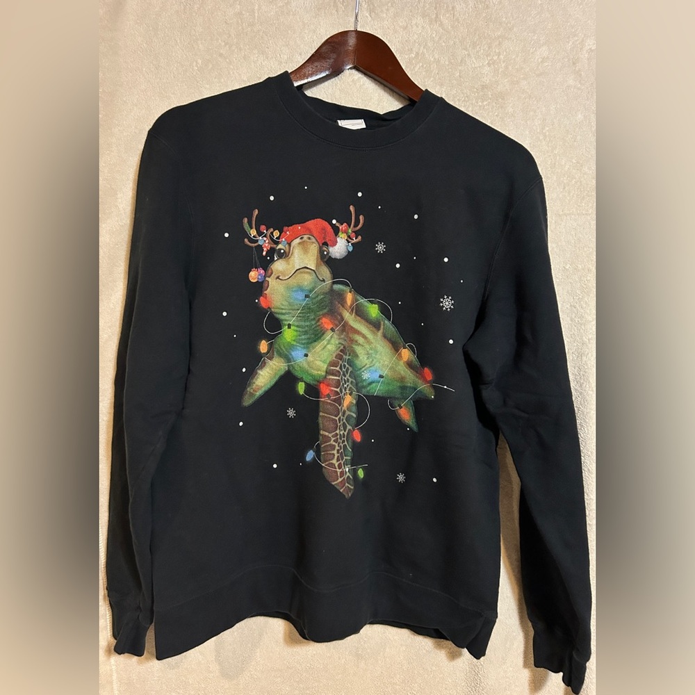 Festive Turtle Sweatshirt